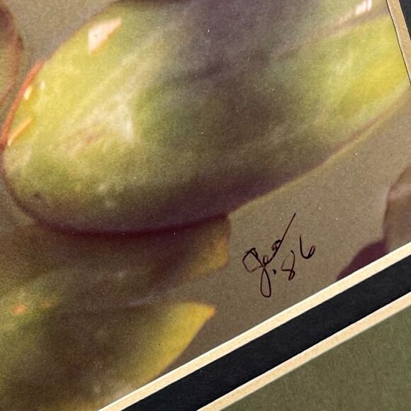 Waterlilies Lili Pad  Photograph Artist Signed Double Mat - Picture 8 of 9